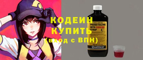 a pvp Ельня
