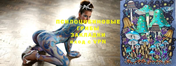 mdpv Елабуга