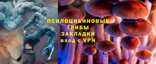 a pvp Ельня