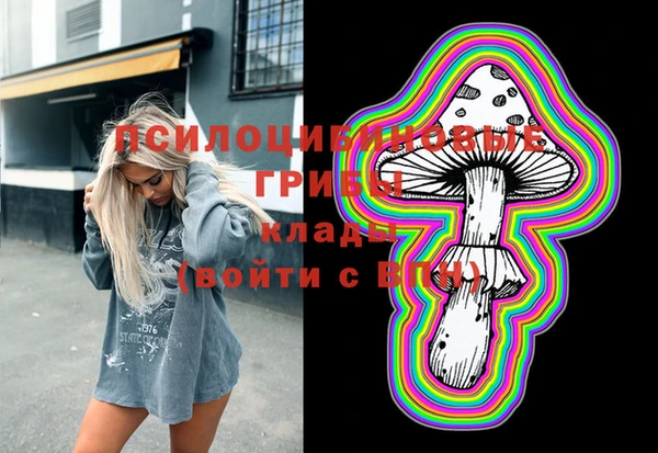 молекула духа Зерноград