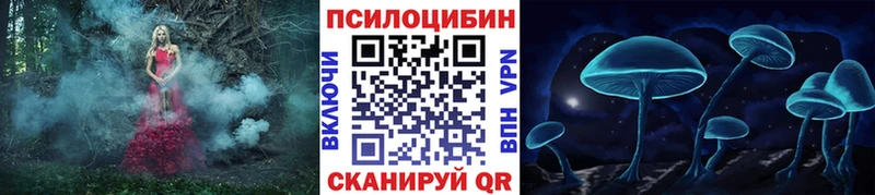 цена   Братск  Псилоцибиновые грибы Magic Shrooms 